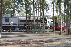 Menifee Campsite